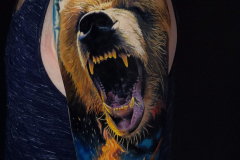 bear-scaled