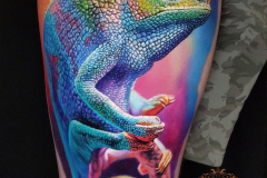 chameleon