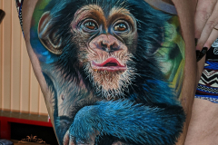 chimpanzee-scaled