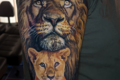 lion