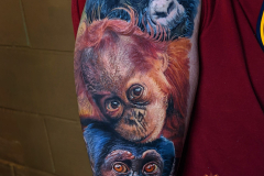 monkeys-scaled