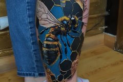 wasp